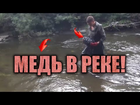 Видео: БОЛЬШУЩАЯ БОЛВАНКА С МЕДЬЮ! РЕКА ЗАСЫПАНА ЖЕЛЕЗОМ! КОПАЮ ПРЯМО В ВОДЕ ЧУГУННЫЕ СЛИТКИ!