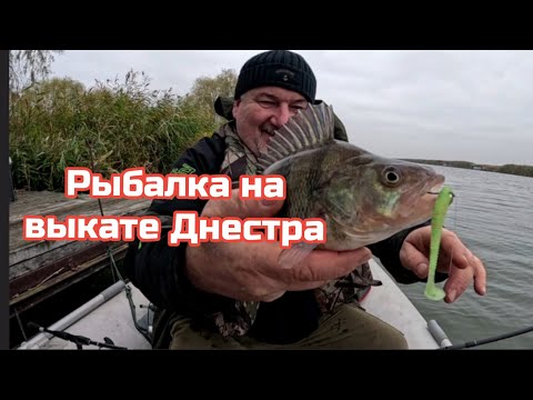 Видео: Рыбалка на выкате р. Днестр.