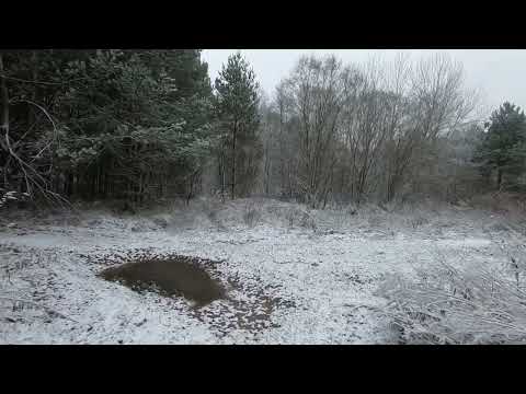 Видео: Часть 1. д. Погребенка -д. Симохи. Оз. Девинское