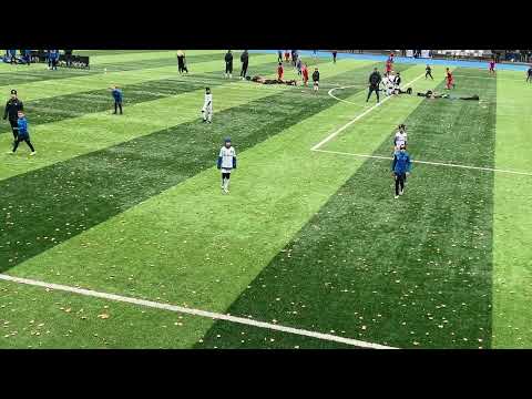 Видео: 29 октября 2025 г.