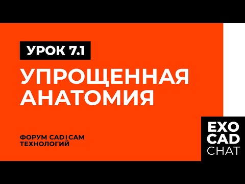 Видео: EXOCAD: БЕСПЛАТНЫЙ КУРС | УРОК 7: РЕДУЦИРОВАНИЕ (ЧАСТЬ 1)