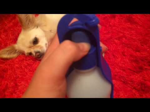 Видео: Покупки из зоомагазина для Найды и Хати