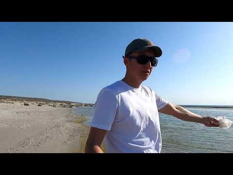 Видео: Мыс Суйе, подводная охота на судака граница с Туркменистаном часть 1 дневная охота.