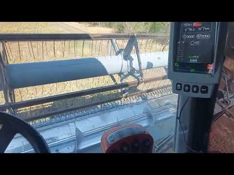 Видео: Конец уборки. Такого ещё не было....