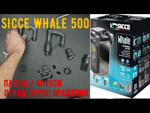 Видео: Огляд зовнішнього акваріумного фільтра SICCE wale 500 | перші враження | фільтрація в акваріумі