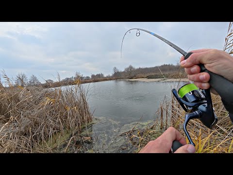 Видео: Трудно поверить что в МАЛЕНЬКОЙ речке столько рыбы! Рыбалка осенью на спиннинг 2025.