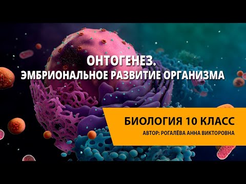 Видео: Онтогенез. Эмбриональное развитие организма