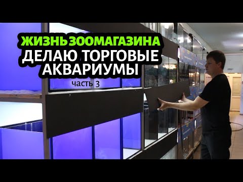 Видео: КАК СДЕЛАТЬ АКВАРИУМЫ ДЛЯ ПРОДАЖИ РЫБ В ЗООМАГАЗИН