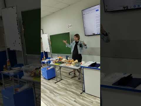 Видео: Отрывок семинара Зарецкой А.Р.