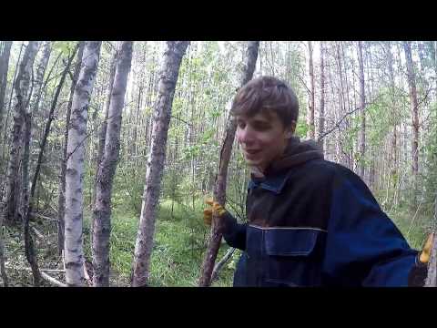 Видео: Коп Металла. 900 кг. за день # AR 944 M...