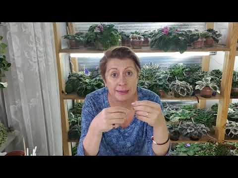 Видео: Перлит, вермикулит или пенопластовые шарики. Давайте разберёмся