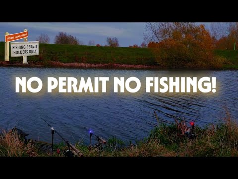 Видео: Ловля щуки в Великобритании: еще один день, еще одна река