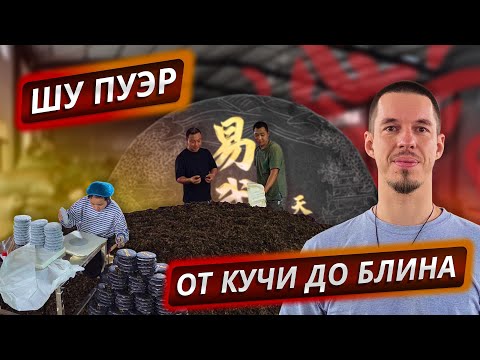 Видео: Фабрика Цзя Мин | Ферментация, пресс и упаковка пуэра