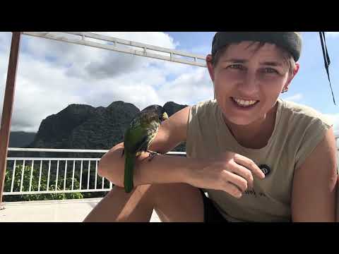 Видео: История как мне хотели прочесть мысли и про наши страхи по жизни 