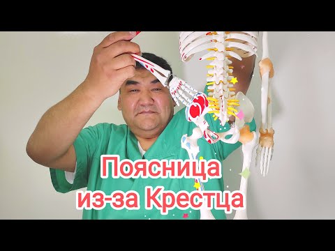 Видео: Боль в Пояснице? из-за Крестца Как себе помочь?
