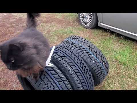 Видео: Покупка зимней резины белшина в г. Бобруйск, обзор 2024 года выпуска