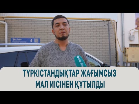 Видео: Түркістандықтар жағымсыз мал иісінен құтылды