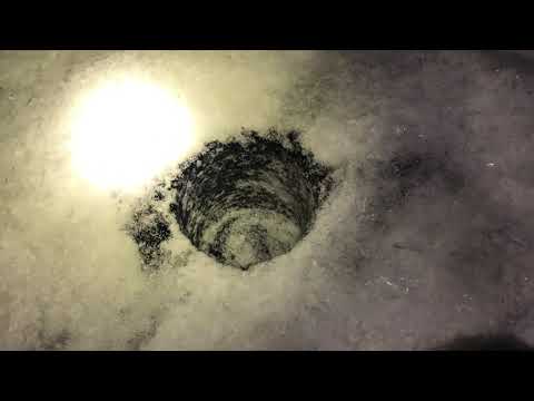 Видео: Рыбалка на Ишиме . ловля Налима,Щуки,Окуня .