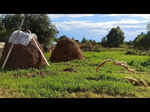 Видео: Деревенская банька