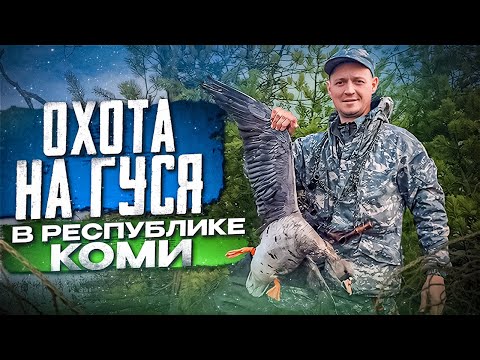 Видео: Охота на гуся в Республике Коми/Таёжный и Иваныч снова вместе/Полная версия