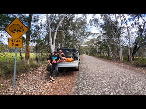 Видео: Не верьте ЛЖИ о том, что вы не можете уйти