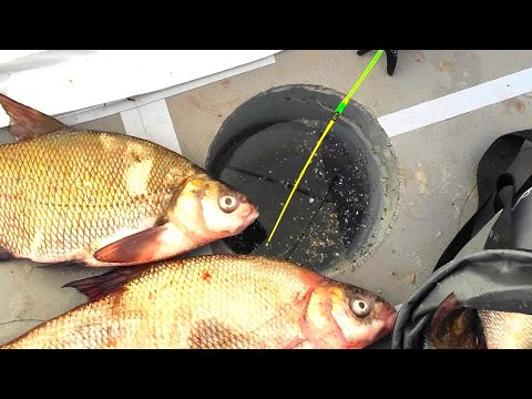 Видео: КРУПНЯК БЕРЁТ!! Кивки встают, рвёт крючки  - зимняя рыбалка ночью в палатке