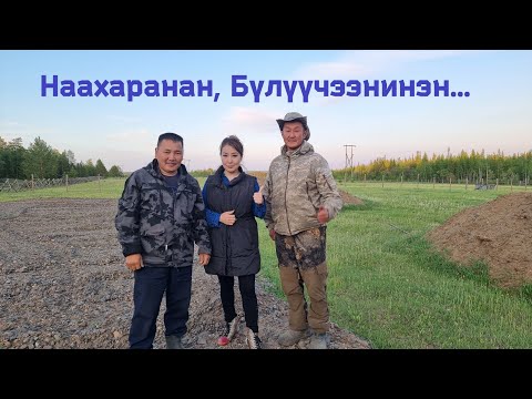 Видео: Наахаранан, Бүлүүчээнинэн - 2023. Сунтаар улууһа