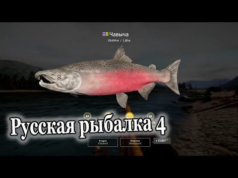Видео: Русская рыбалка 4 р Яма Чавыча