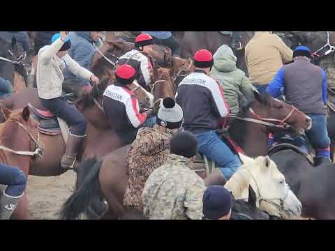 Видео: 19.12.2024 көкпар 1 часть #көкпар #horse #music #rek #жамалов