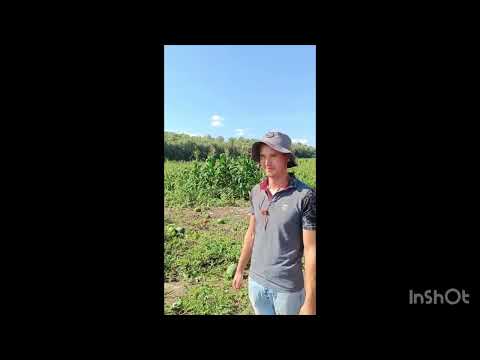 Видео: В гостях у Рыкалина Александра Петровича