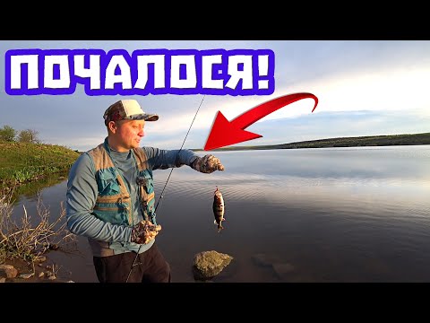 Видео: ЛОВЛЯ ОкунЯ На Мікроджиг. Рибалка на спінінг 2023