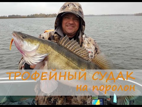 Видео: Трофейный судак на поролон. Осенний джиг на Чебоксарке