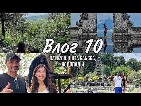 Видео: VLOG 10 | BALI ZOO | TIRTA GANGGA | САРКИС И ЭКА