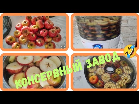 Видео: Ищем удобрение 🤔, турецкий магазин 🏪,вкусные бедрышки на гииле👍, перерабатываем яблоки 🍎. 