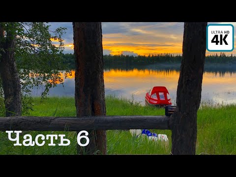 Видео: Экспедиция на Полярный Урал (ч.6) |1400км| Собираем грибы | Прощаемся с Пулей | Живем в избе рыбаков