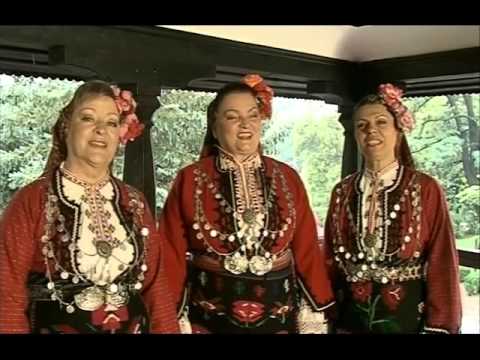 Видео: Трио Надка Вълчанова , Палагия Костова и Бистра Ангелова  Вила се гора , развила