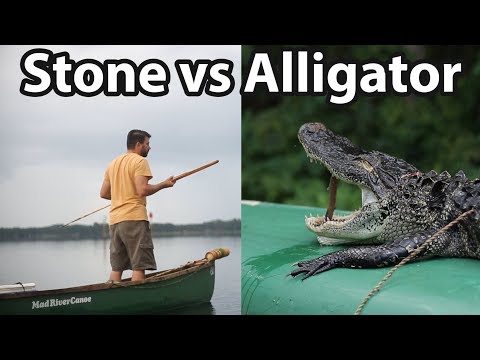 Видео: Охота на аллигатора Атлатля с копьем