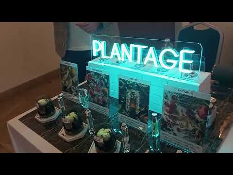 Видео: Летний VAST 2024