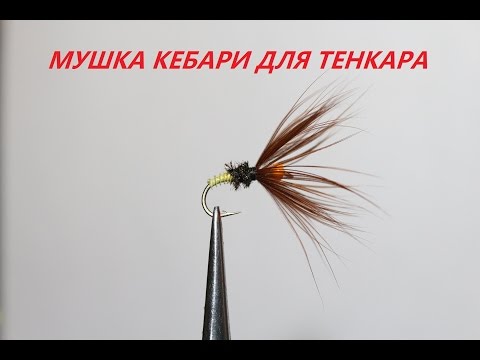 Видео: Мушка кебари для тенкара