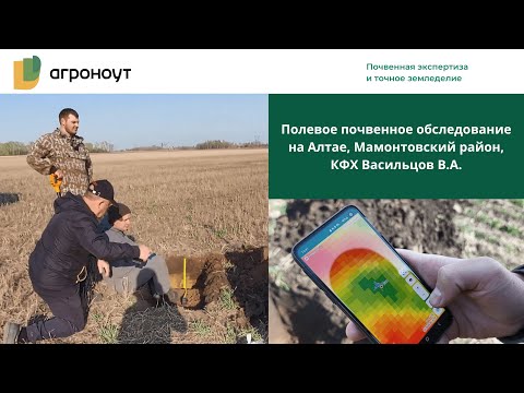 Видео: Полевое почвенное обследование на Алтае, Мамонтовский район, КФХ Васильцов В. А / Агроноут