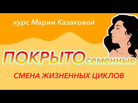 Видео: Урок "Покрытосеменные" — ЦТ, ЕГЭ, ЗНО.