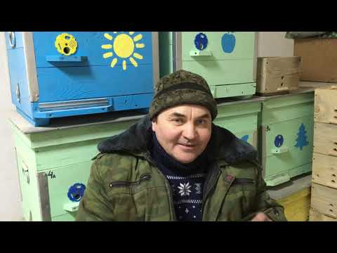 Видео: Авторский нуклеус с уникальной кормушкой для пчел.