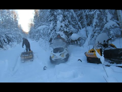 Видео: Зимний промысел соболя. Встреча на путике с лесорубами.