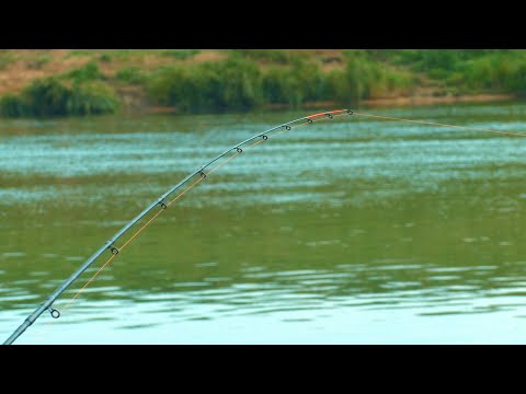 Видео: ЛЕЩ и КРУПНЫЙ КАРАСЬ на СИЛЬНОМ течении! Рыбалка на фидер на реке Дон!