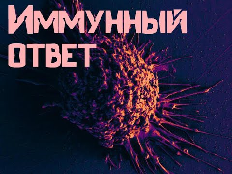 Видео: Иммунный ответ