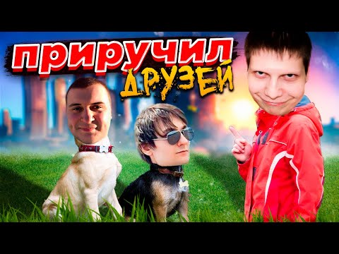 Видео: ПРИРУЧИЛ ДРУЗЕЙ | (Quantum Games, MeDallisT ​) ЗА КАДРОМ №84 | CS2 | Hand Simulator | Majestic RP