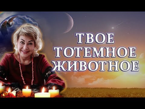 Видео: Твое тотемное животное / Елена Касаткина