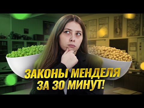 Видео: Законы Менделя за 30 минут с Кристиной Мельниковой | Биология ЕГЭ для 10 класса | Умскул