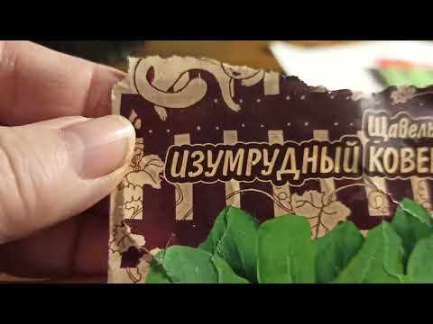 Видео: Обзор на семена.Почему выбрала именно их.ЧАСТЬ 1.