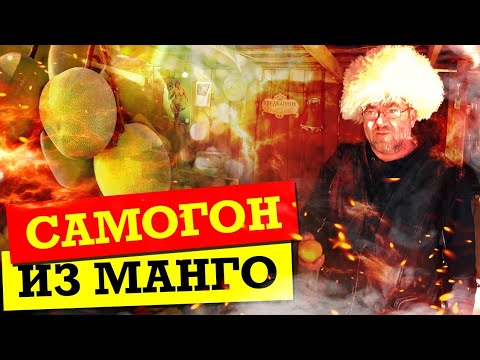 Видео: Самогон из МАНГО